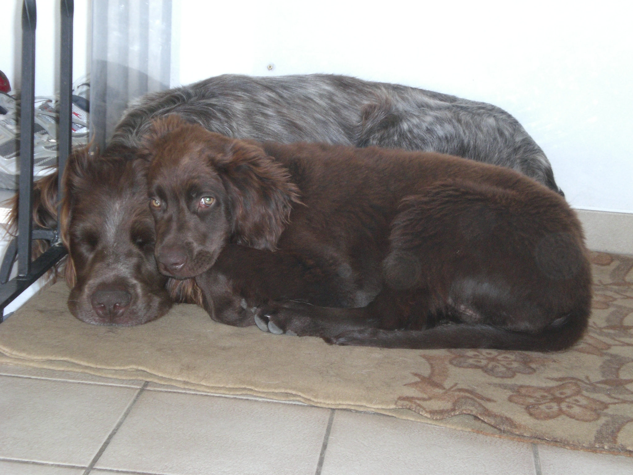 Eika und Alex
